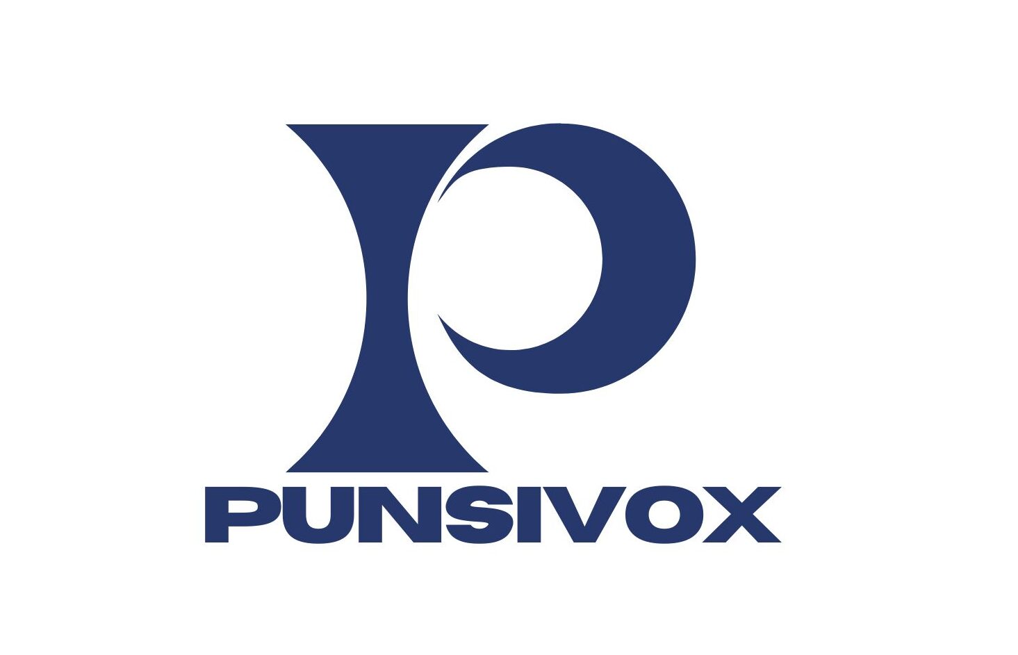 punsivox.com